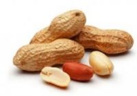 PEA NUT